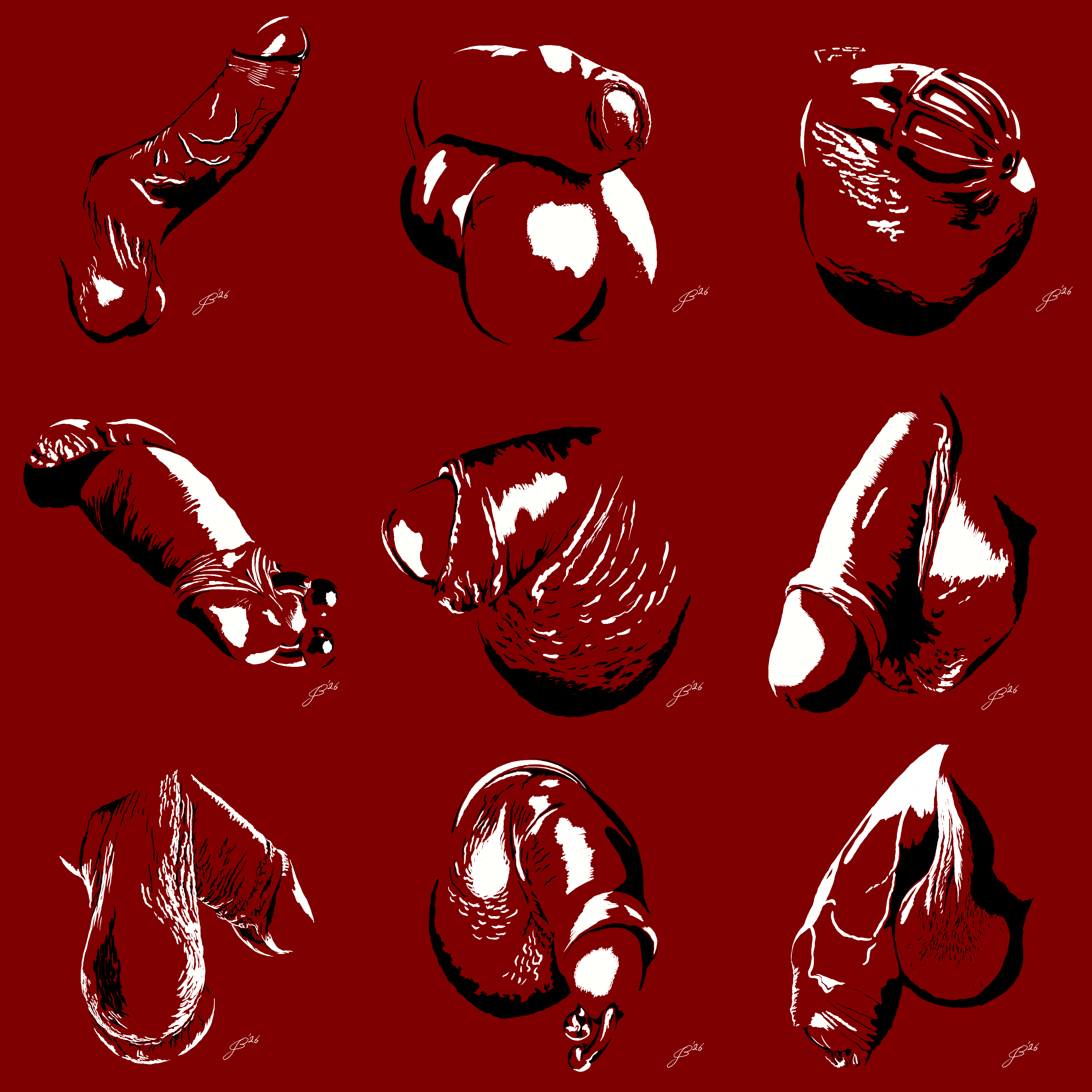 Dick Pics
