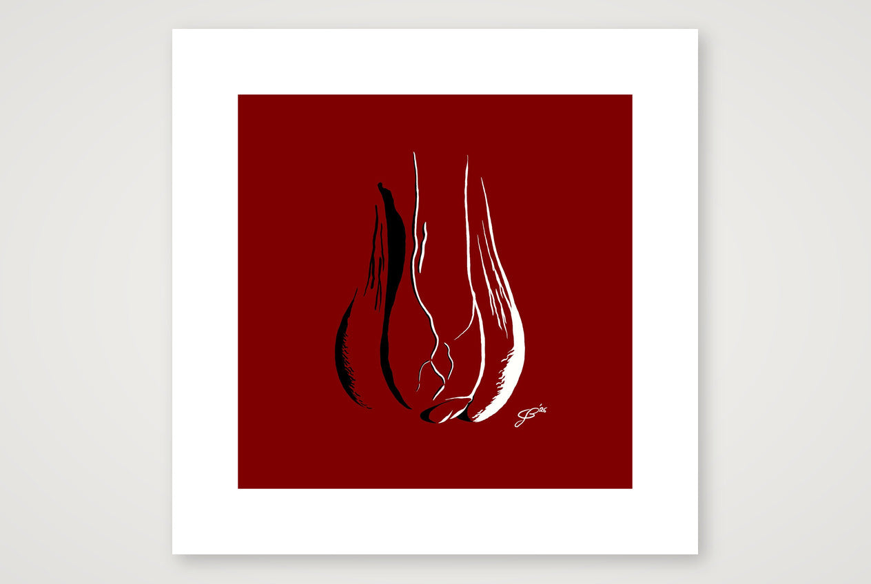 Fernando’s Dick Pic — 40×40cm, 16×16" Print only