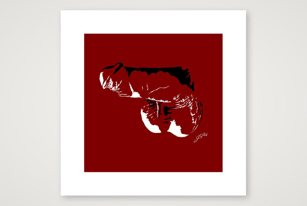 Dave’s Dick Pic — 30×30cm, 12×12" Print only