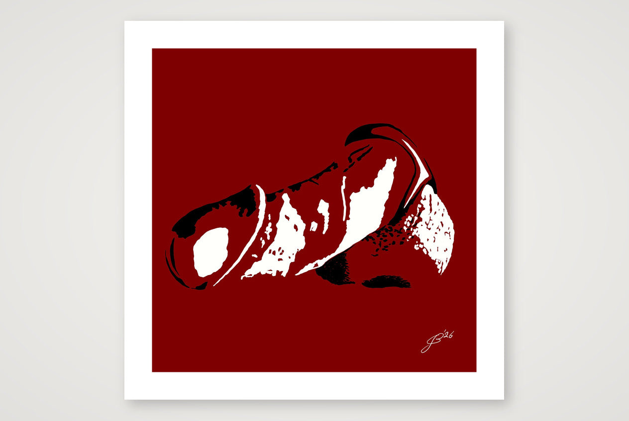Ernesto’s Dick Pic — 70×70cm, 28×28" Print only