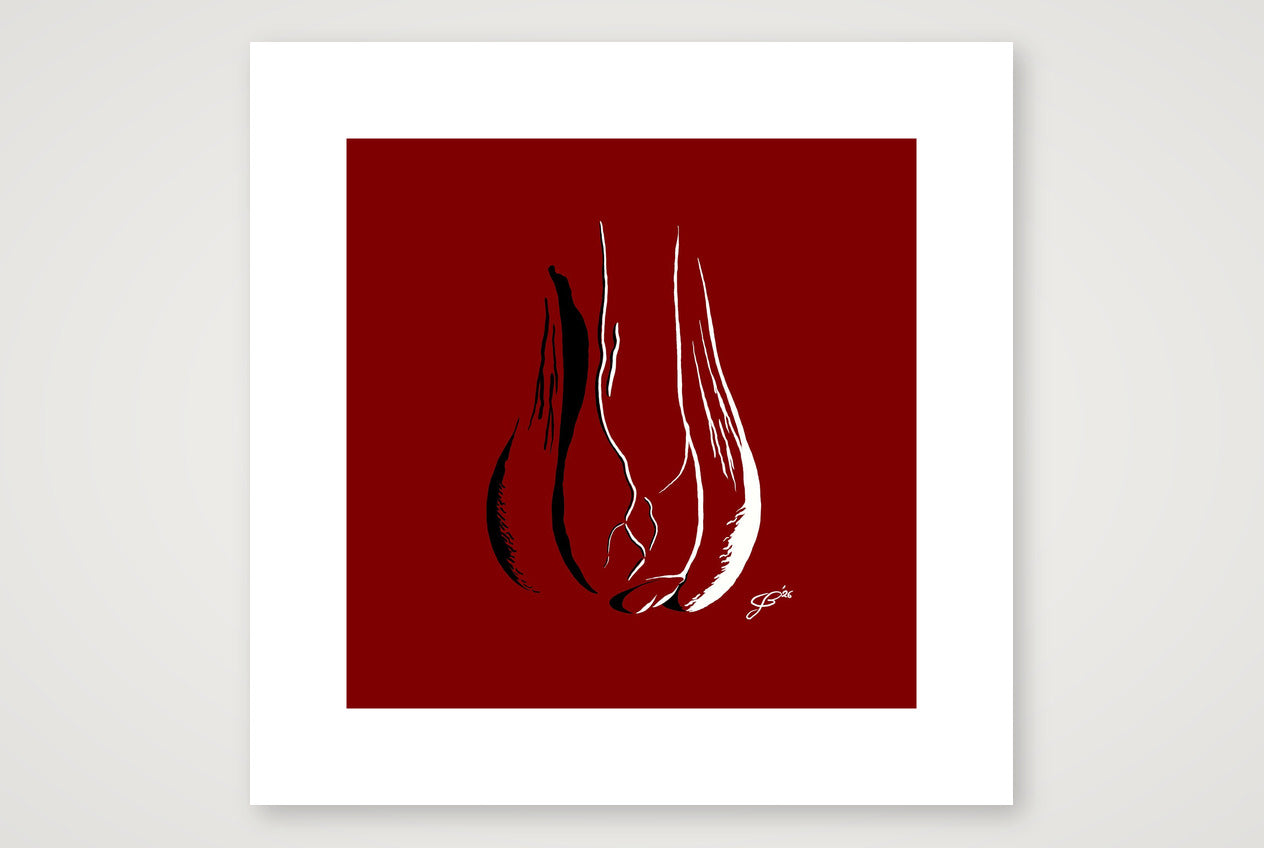 Fernando’s Dick Pic — 30×30cm, 12×12" Print only