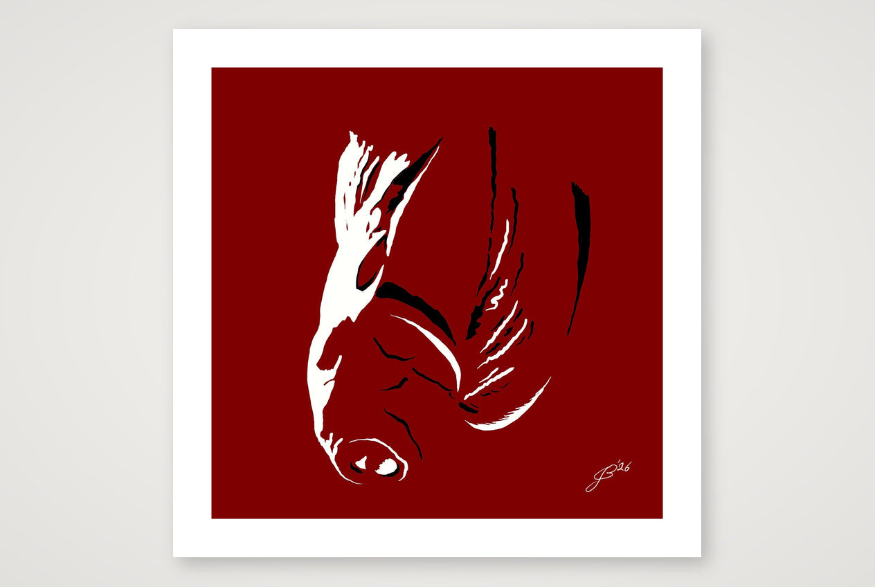 Nico’s Dick Pic — 70×70cm, 28×28" Print only