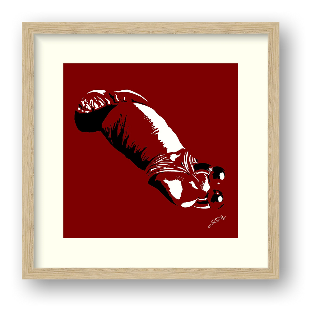 Sergio’s Dick Pic — framed