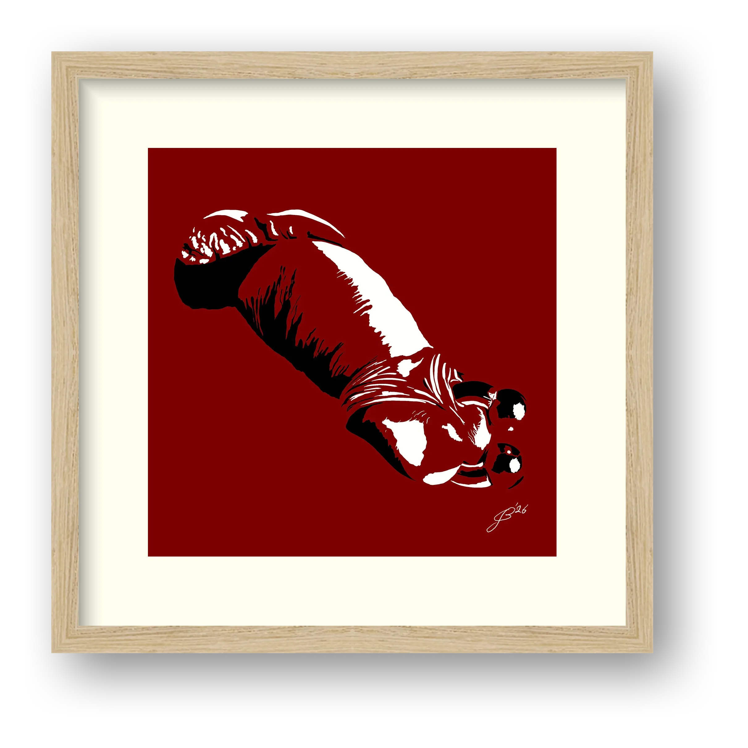 Sergio’s Dick Pic — framed