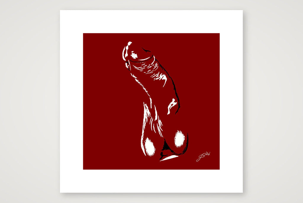 Gerhard’s Dick Pic — 30×30cm, 12×12" Print only