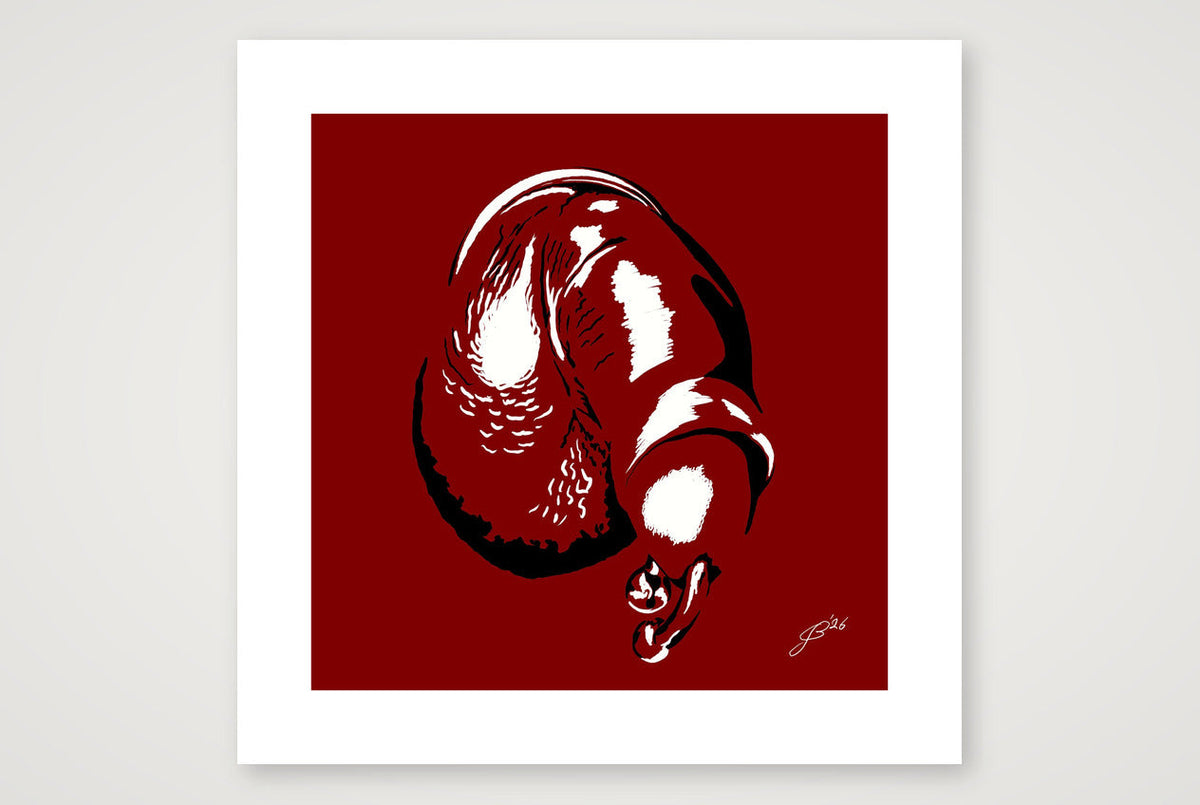 Phallic Art - Julio — 50×50cm, 20×20" Print only