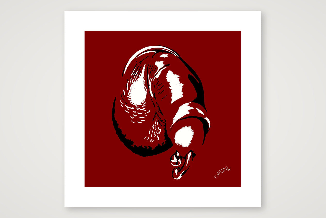 Julio’s Dick Pic — 50×50cm, 20×20" Print only