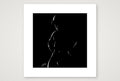Capped Calvin “Negative space Bear” — 30×30cm, 12×12" Print only