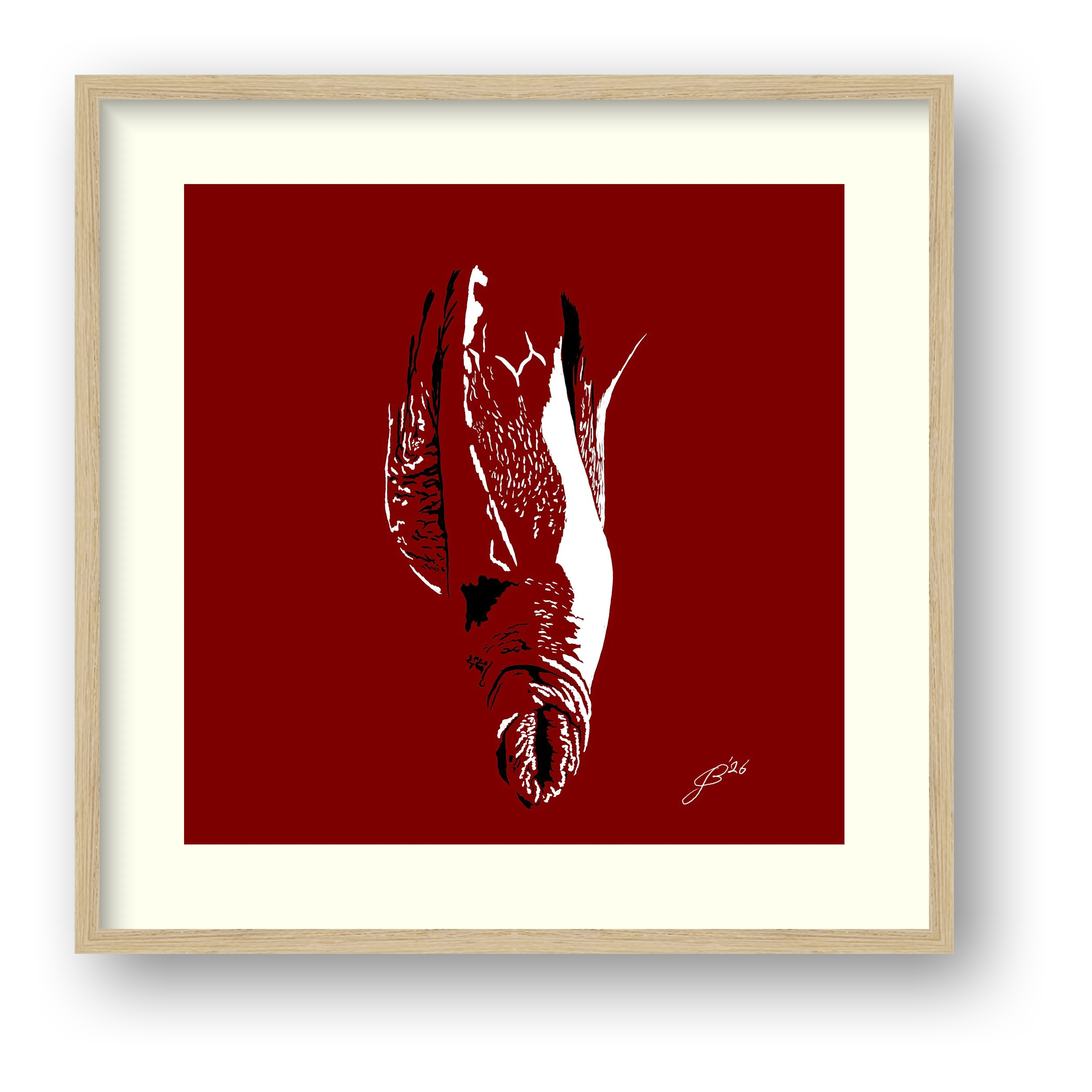 Bruno’s Dick Pic — framed