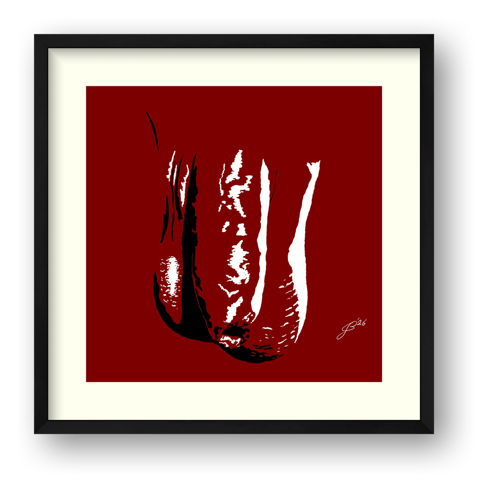 Zander’s Dick Pic — framed