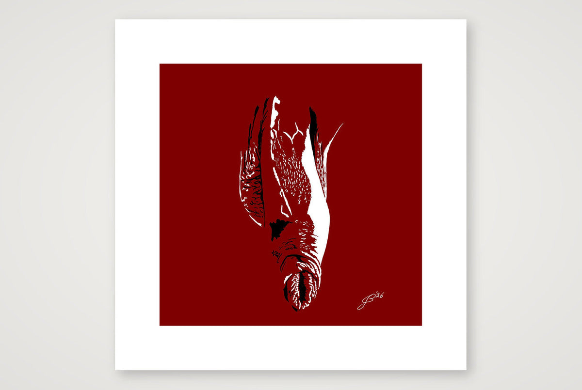 Phallic Art - Bruno — 30×30cm, 12×12" Print only