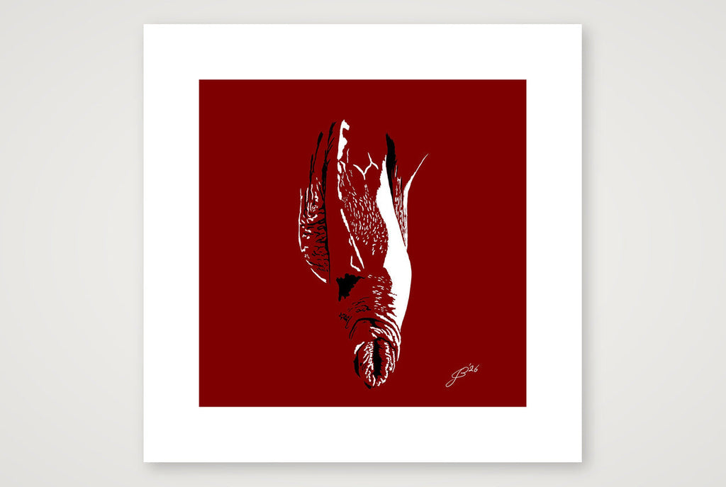 Bruno’s Dick Pic — 30×30cm, 12×12" Print only