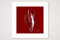 Bruno’s Dick Pic — 30×30cm, 12×12" Print only