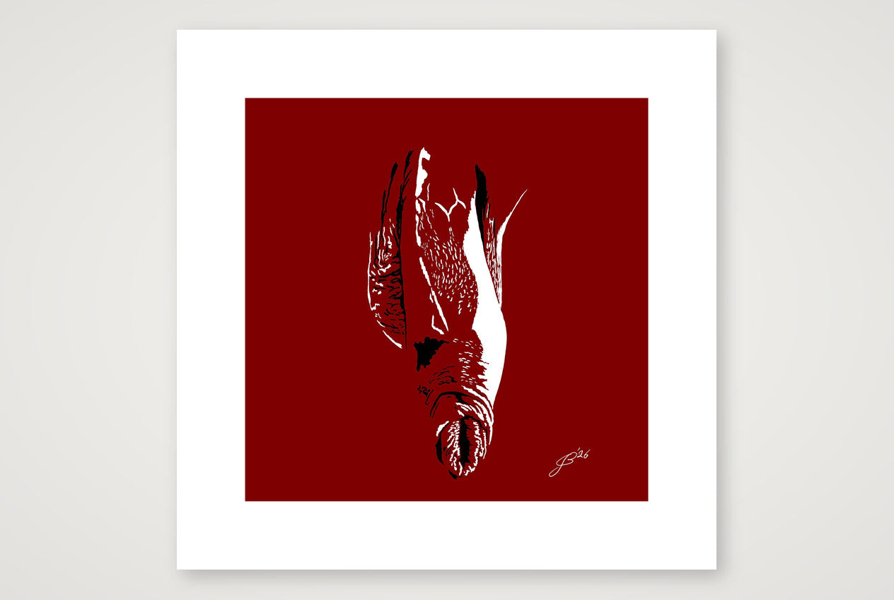 Bruno’s Dick Pic — 30×30cm, 12×12" Print only