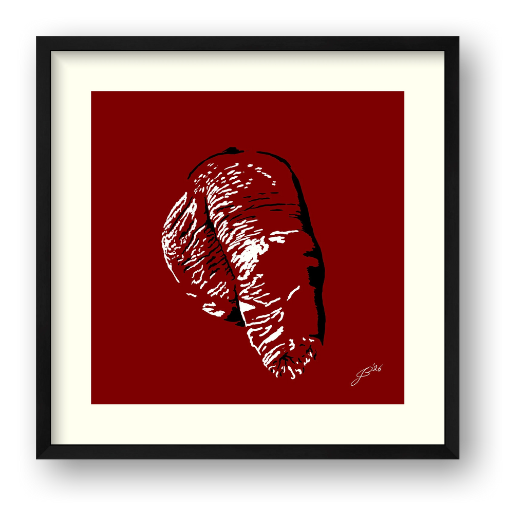 Filipo’s Dick Pic — framed