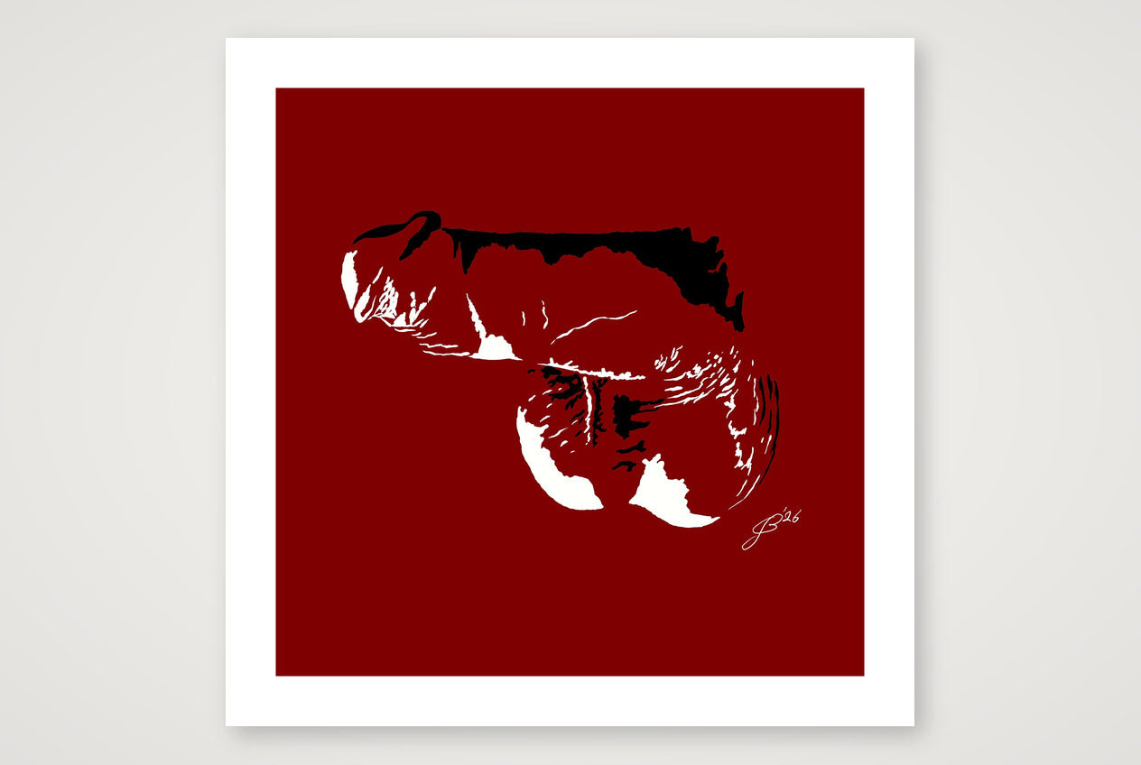 Dave’s Dick Pic — 70×70cm, 28×28" Print only