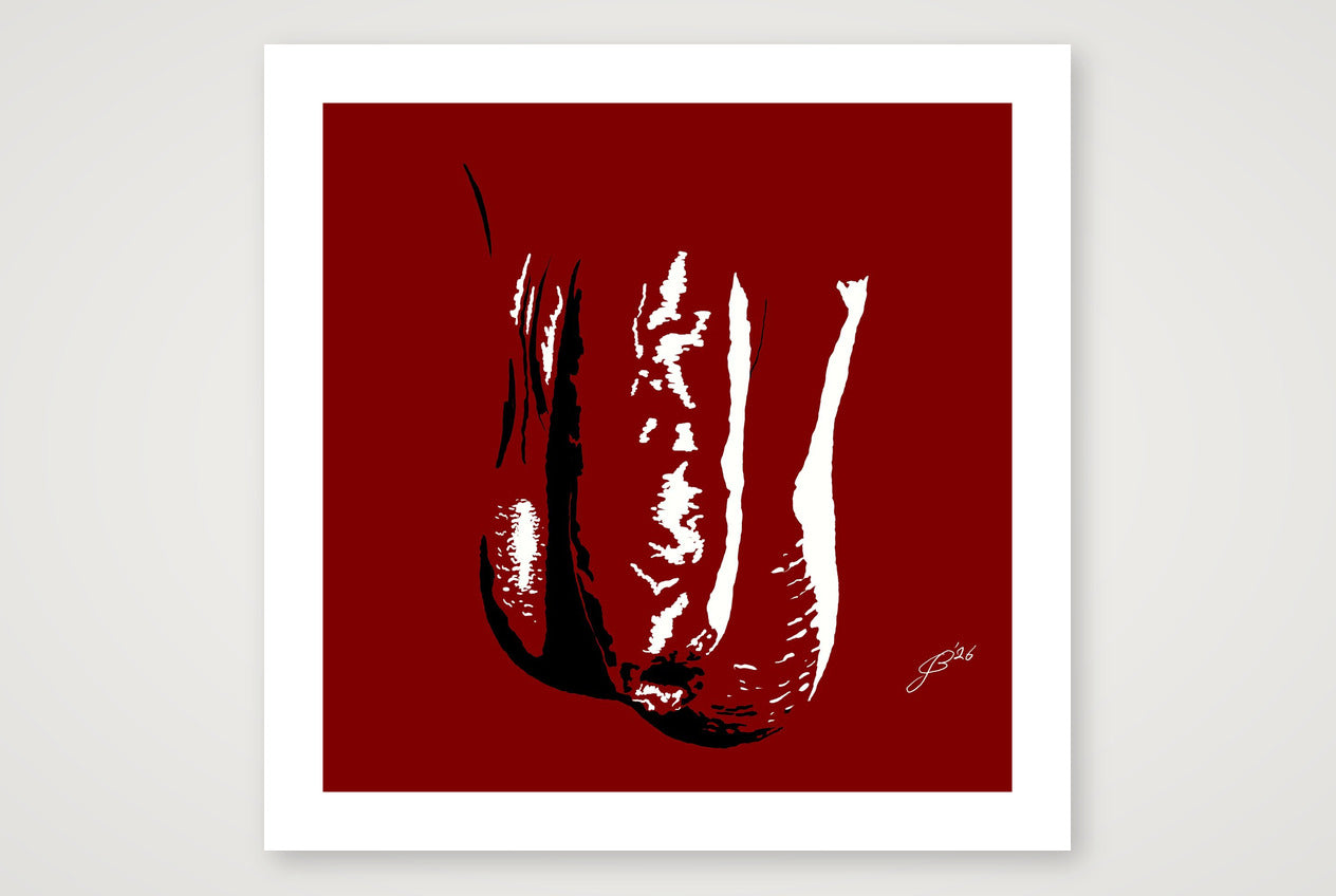 Zander’s Dick Pic — 70×70cm, 28×28" Print only