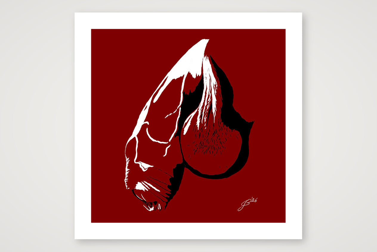 Alex’s Dick Pic — 70×70cm, 28×28" Print only