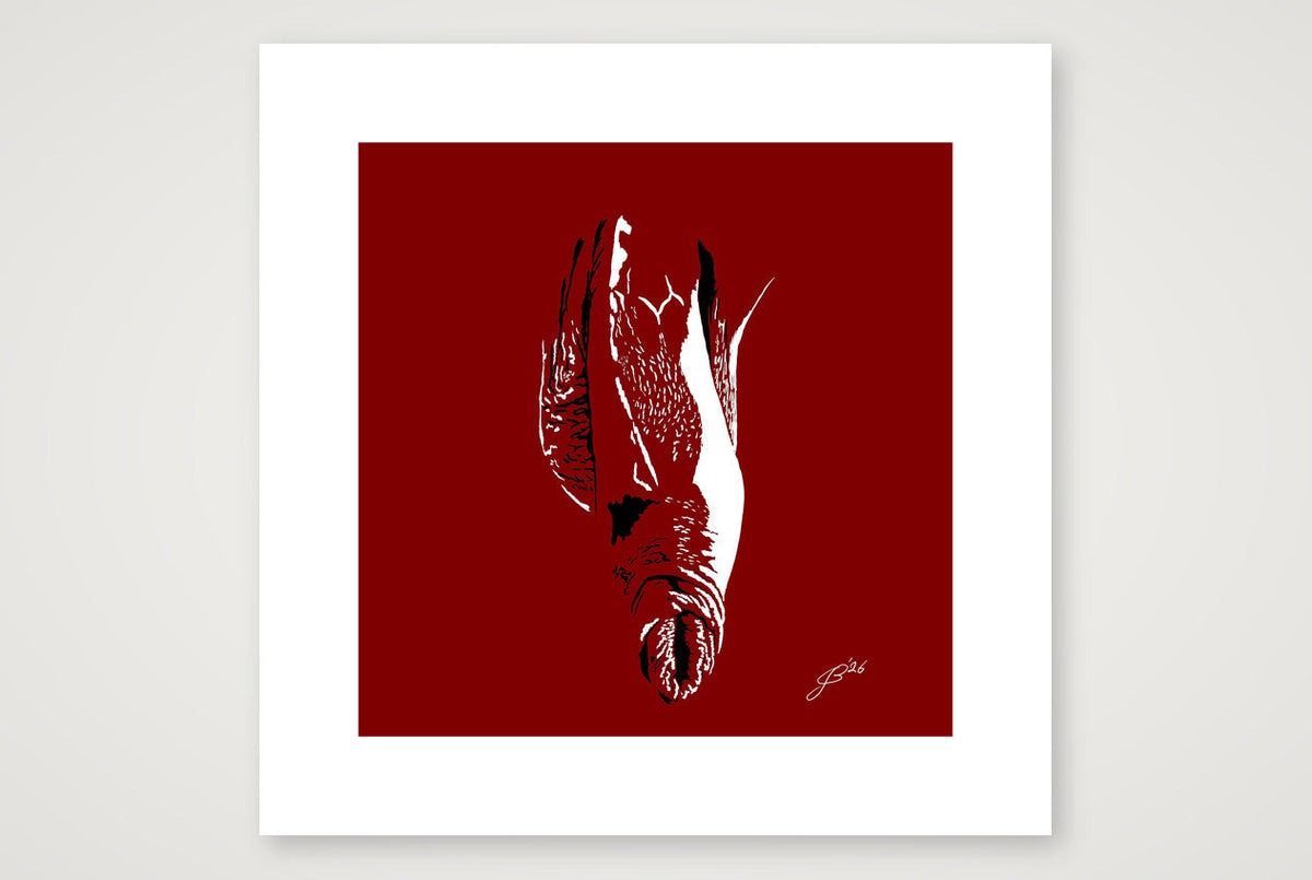 Phallic Art - Bruno — 40×40cm, 16×16" Print only