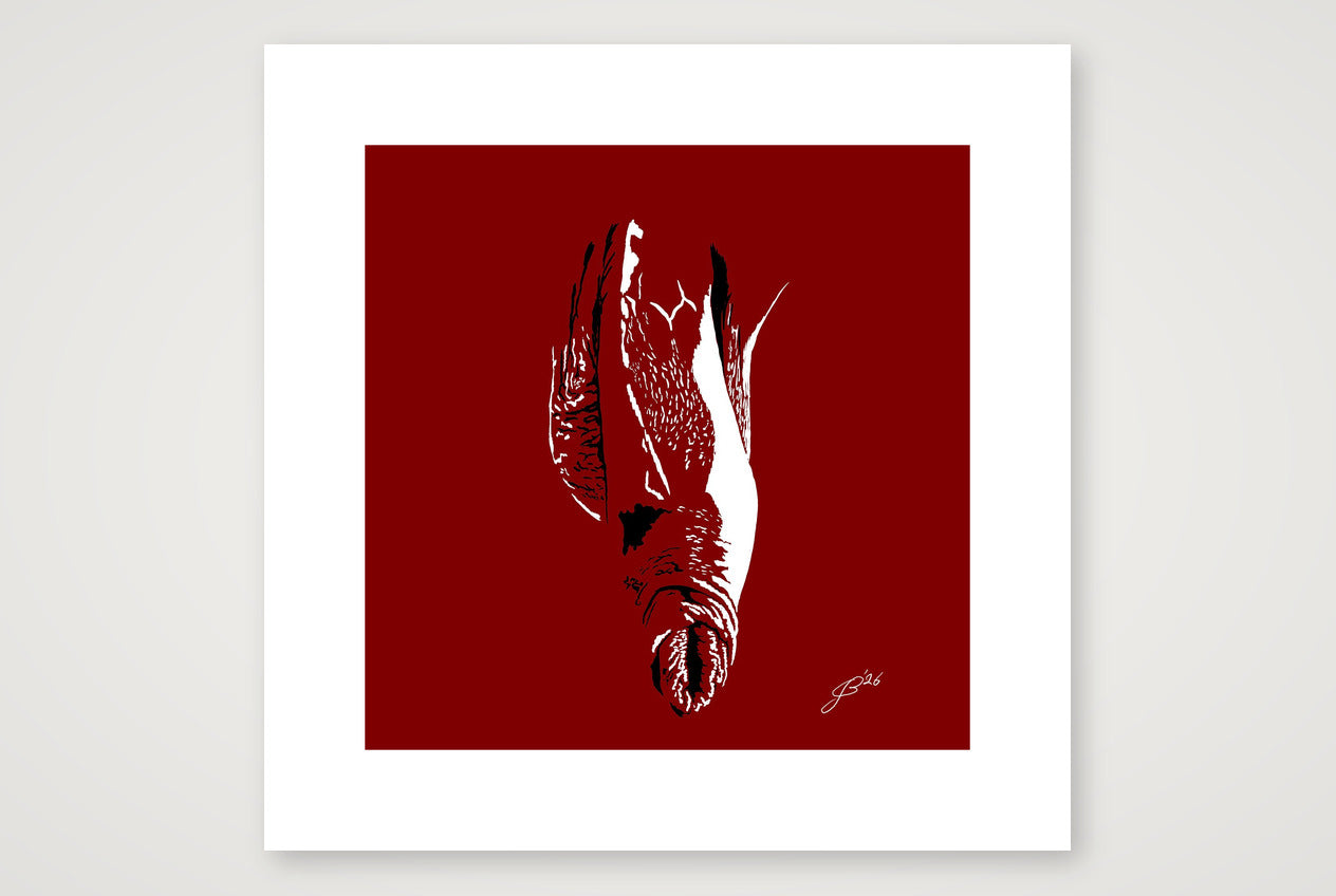 Bruno’s Dick Pic — 40×40cm, 16×16" Print only