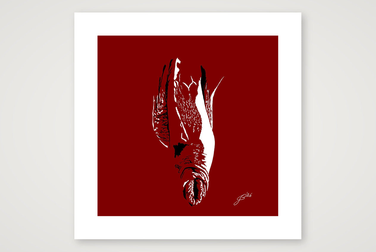 Bruno’s Dick Pic — 50×50cm, 20×20" Print only