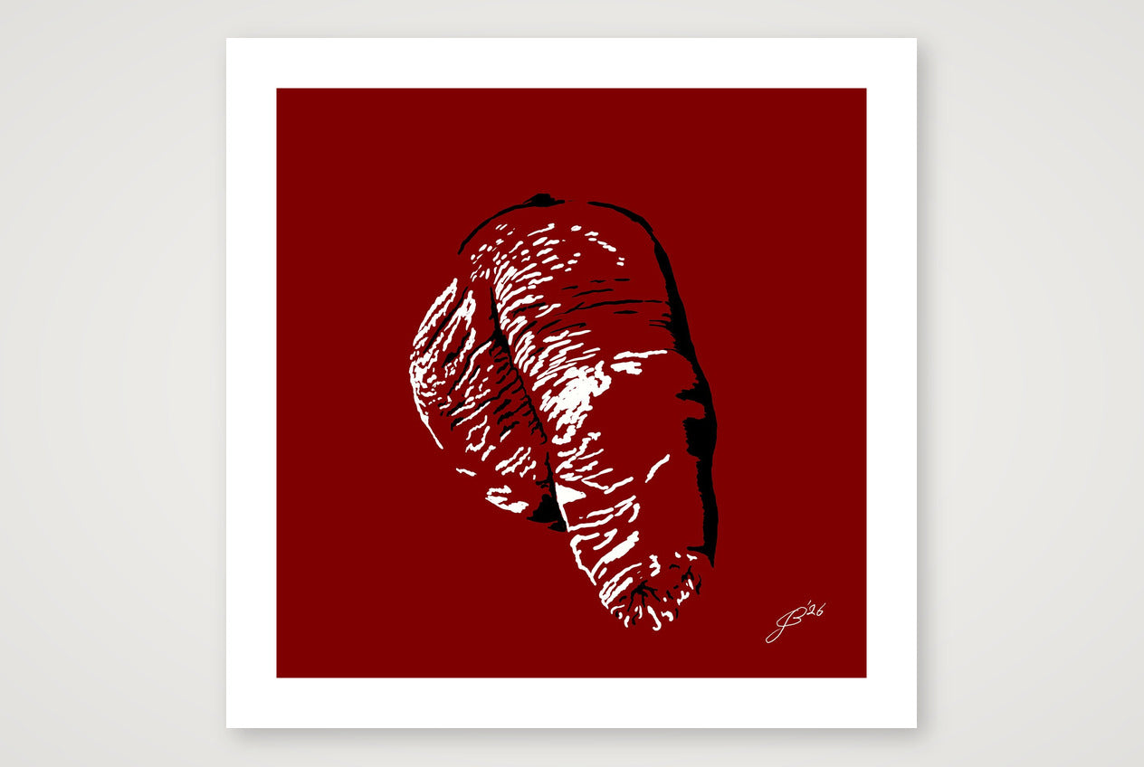Filipo’s Dick Pic — 70×70cm, 28×28" Print only