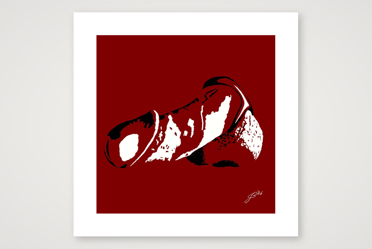 Ernesto’s Dick Pic — 50×50cm, 20×20" Print only