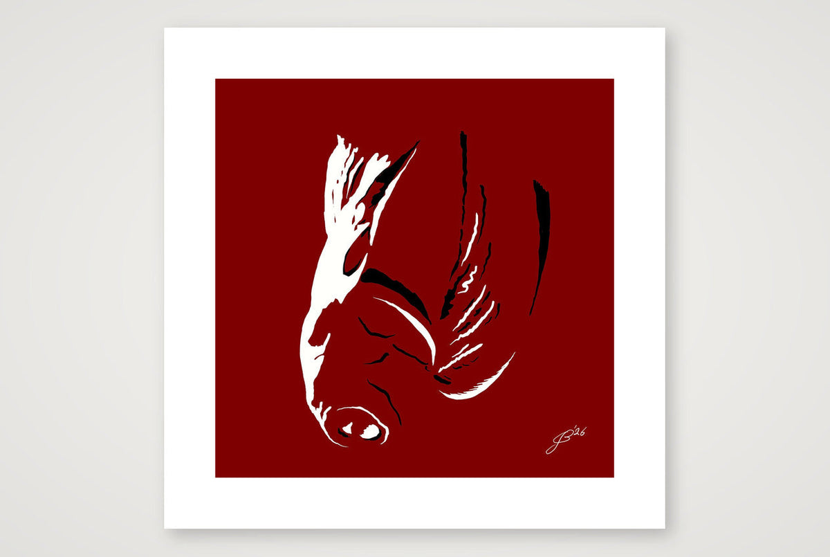 Phallic Art - Nico — 50×50cm, 20×20" Print only
