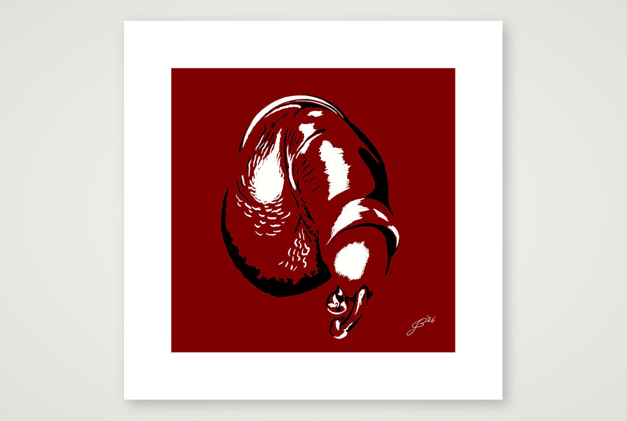 Julio’s Dick Pic — 40×40cm, 16×16" Print only