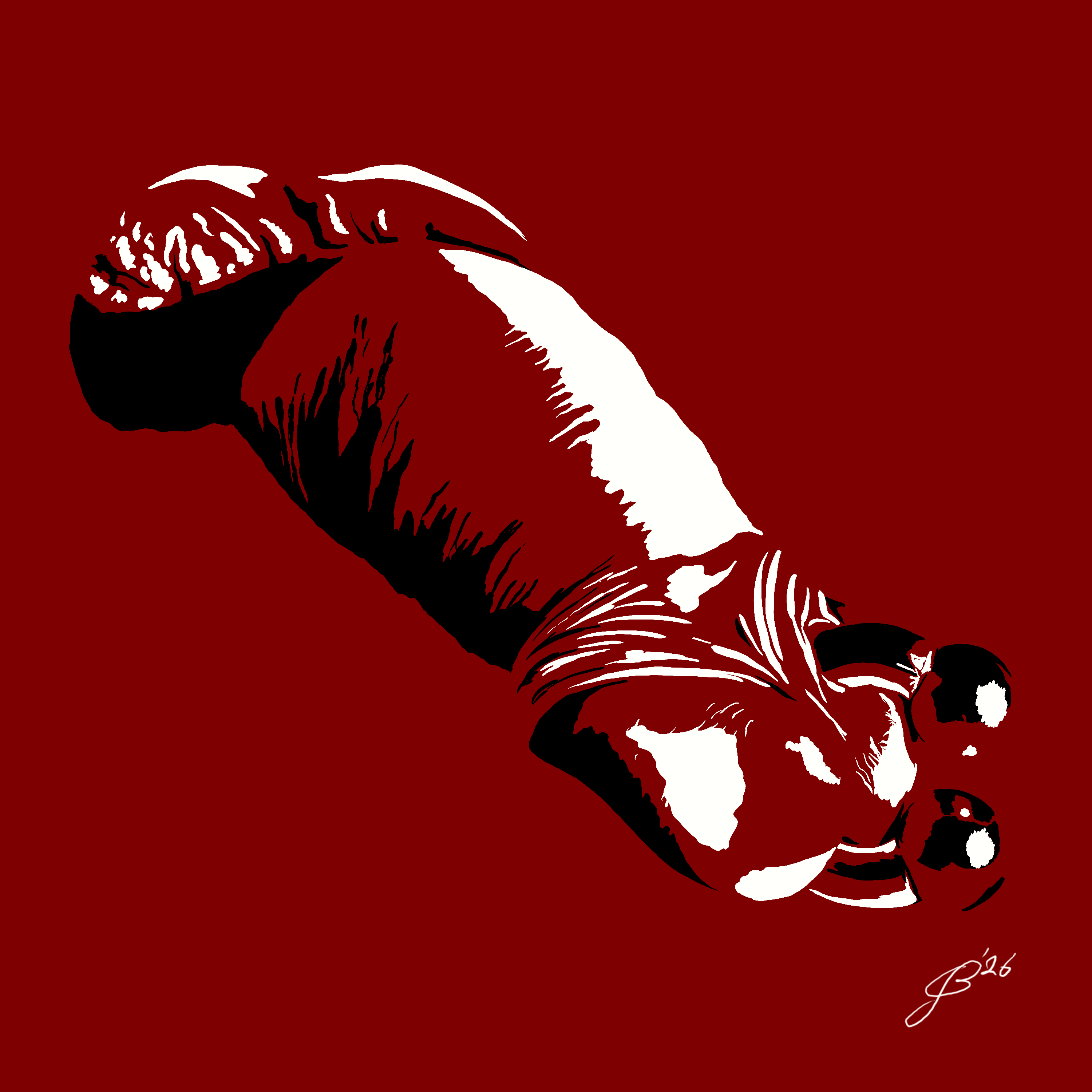 DickPic commission
