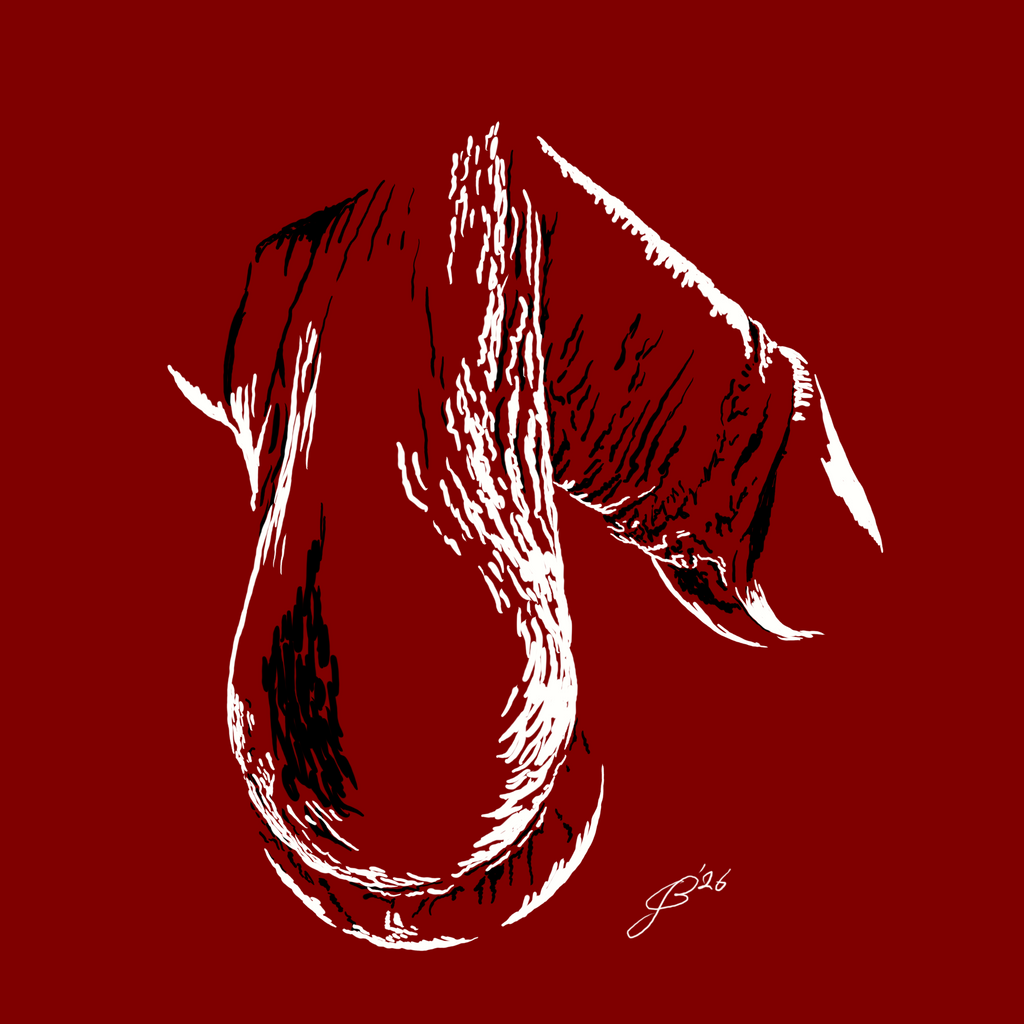 DickPic commission