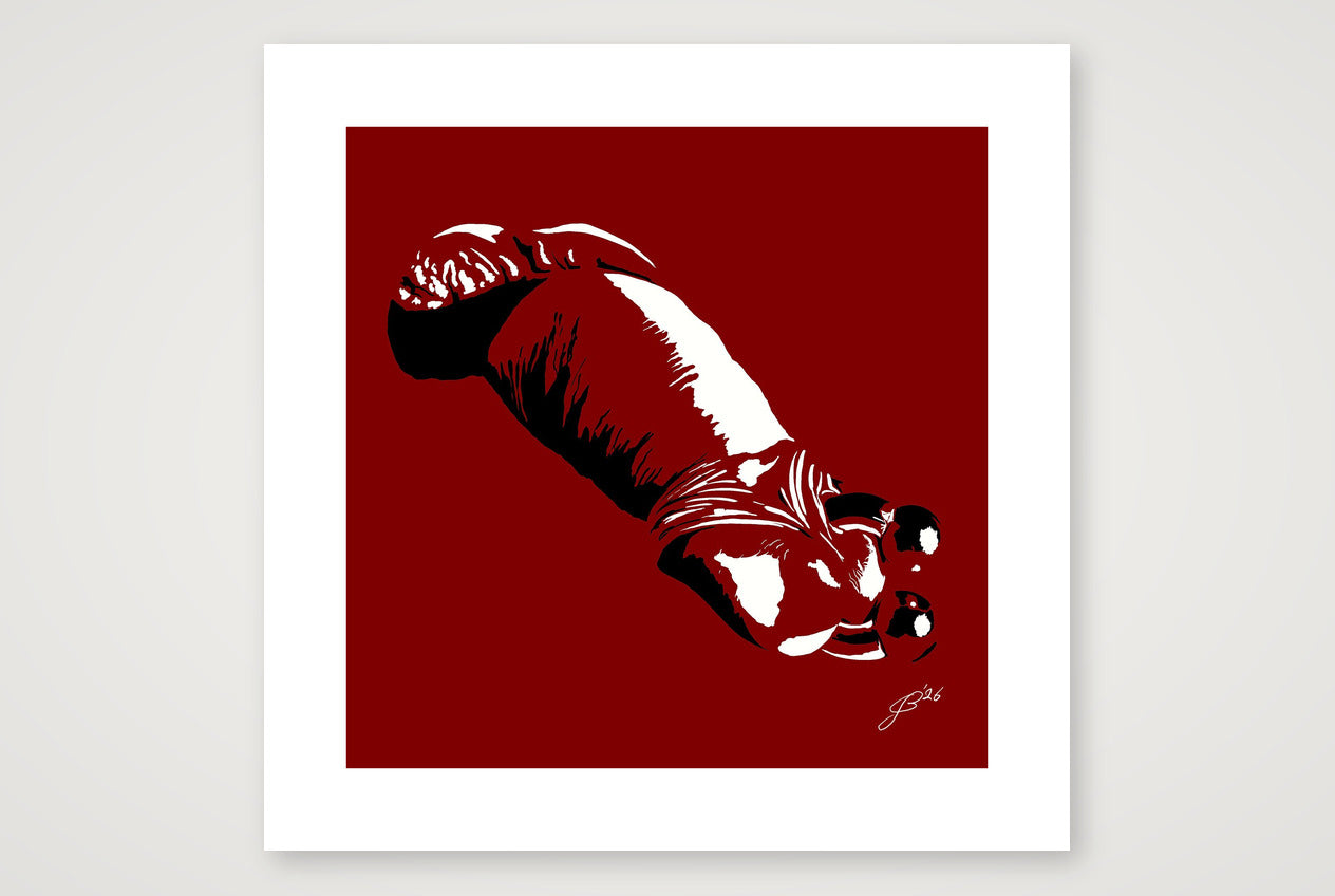 Sergio’s Dick Pic — 50×50cm, 20×20" Print only