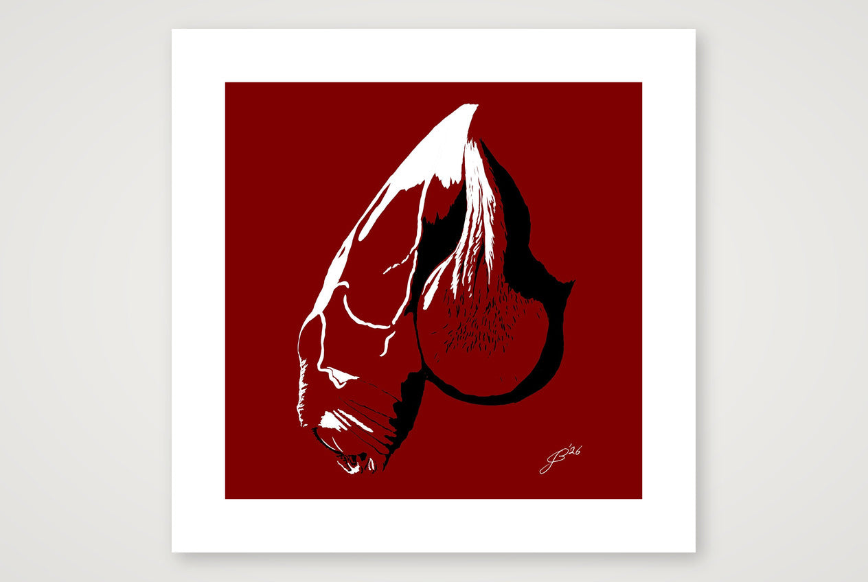 Alex’s Dick Pic — 50×50cm, 20×20" Print only