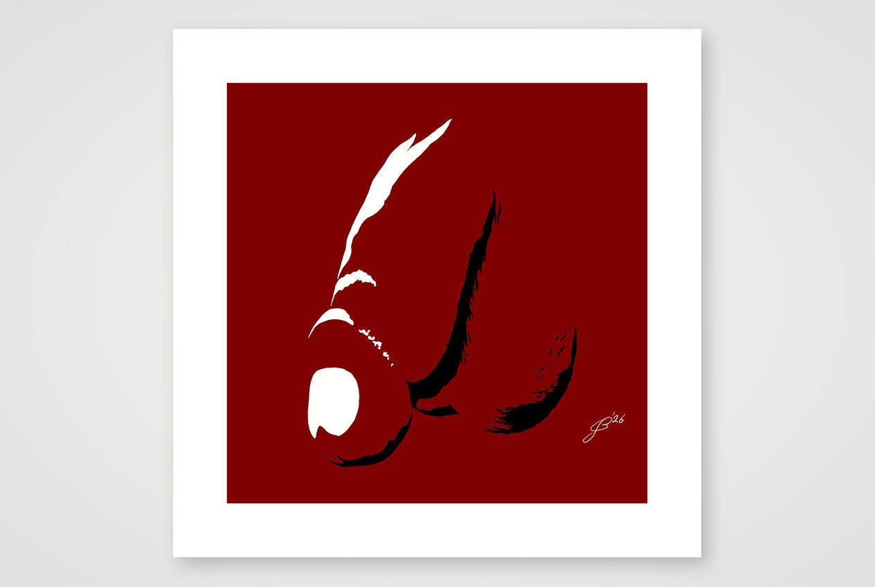 Barnardo’s Dick Pic — 50×50cm, 20×20" Print only
