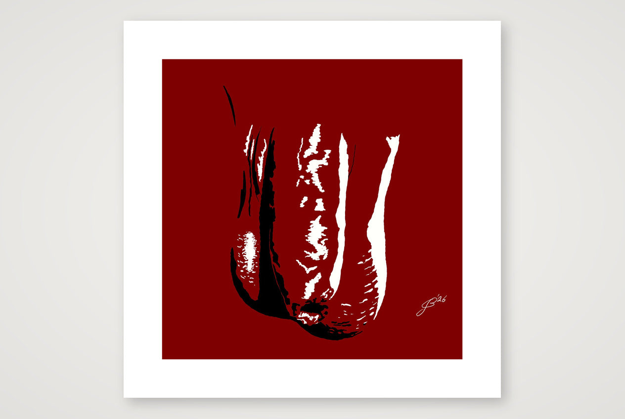 Zander’s Dick Pic — 50×50cm, 20×20" Print only