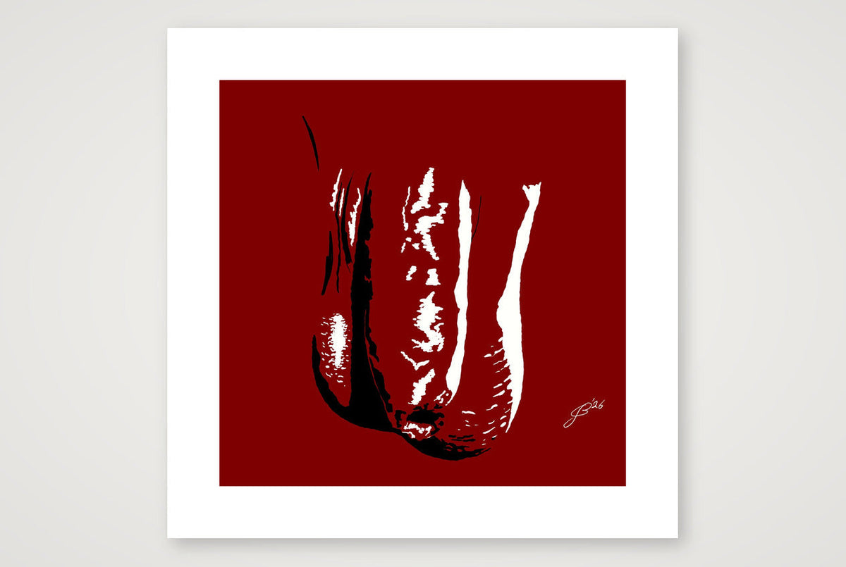 Phallic Art - Zander — 50×50cm, 20×20" Print only
