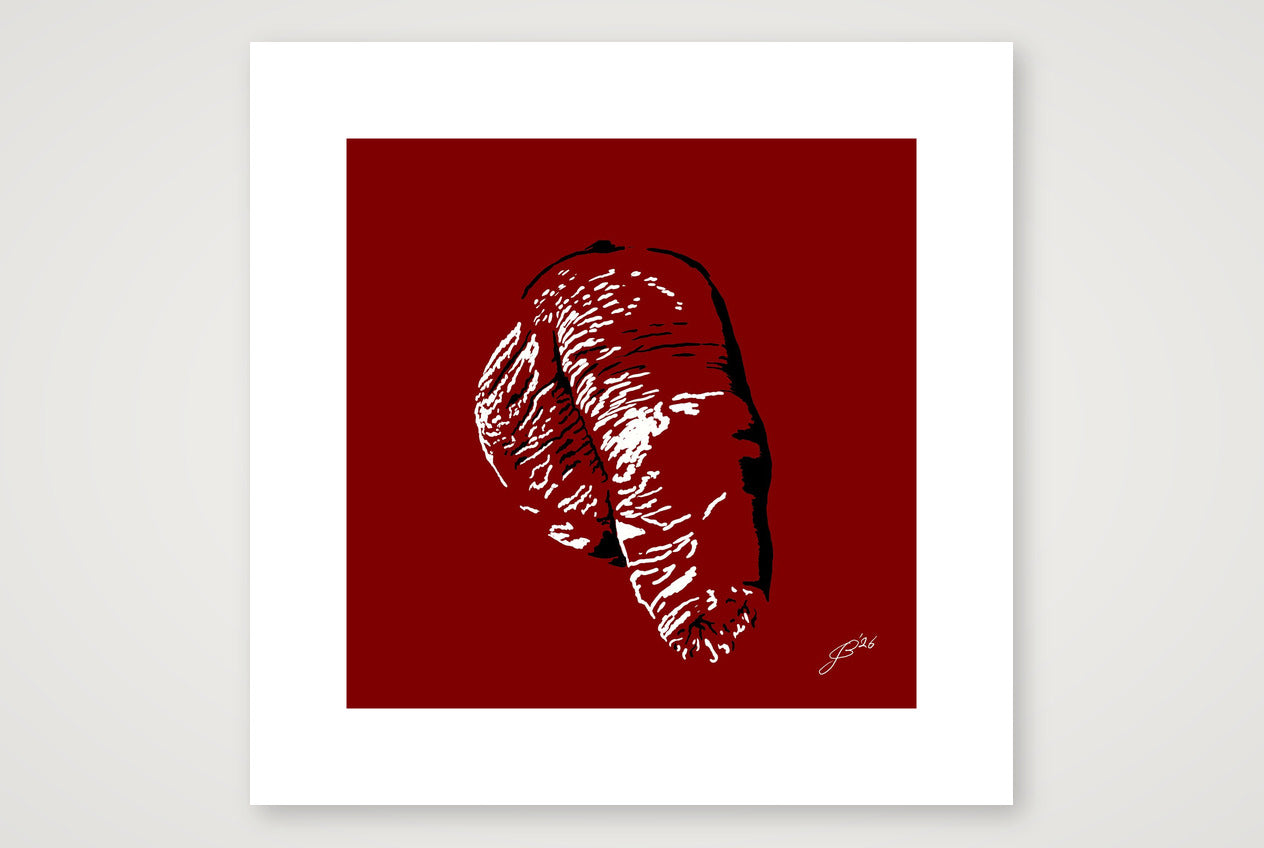 Filipo’s Dick Pic — 30×30cm, 12×12" Print only