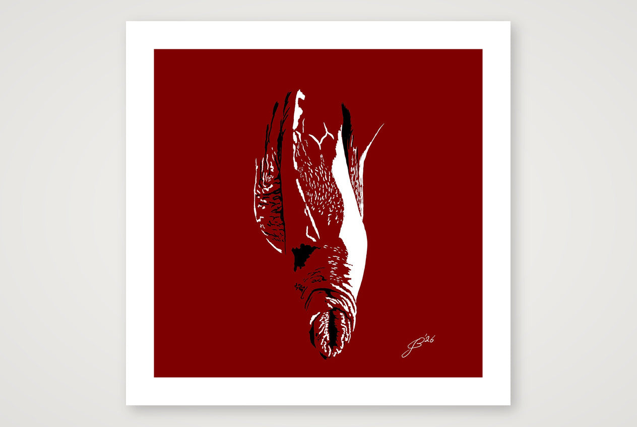 Bruno’s Dick Pic — 70×70cm, 28×28" Print only