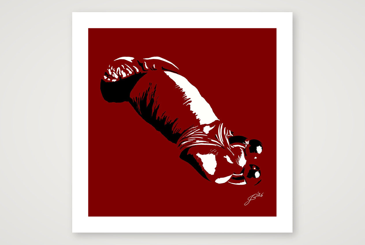 Sergio’s Dick Pic — 70×70cm, 28×28" Print only