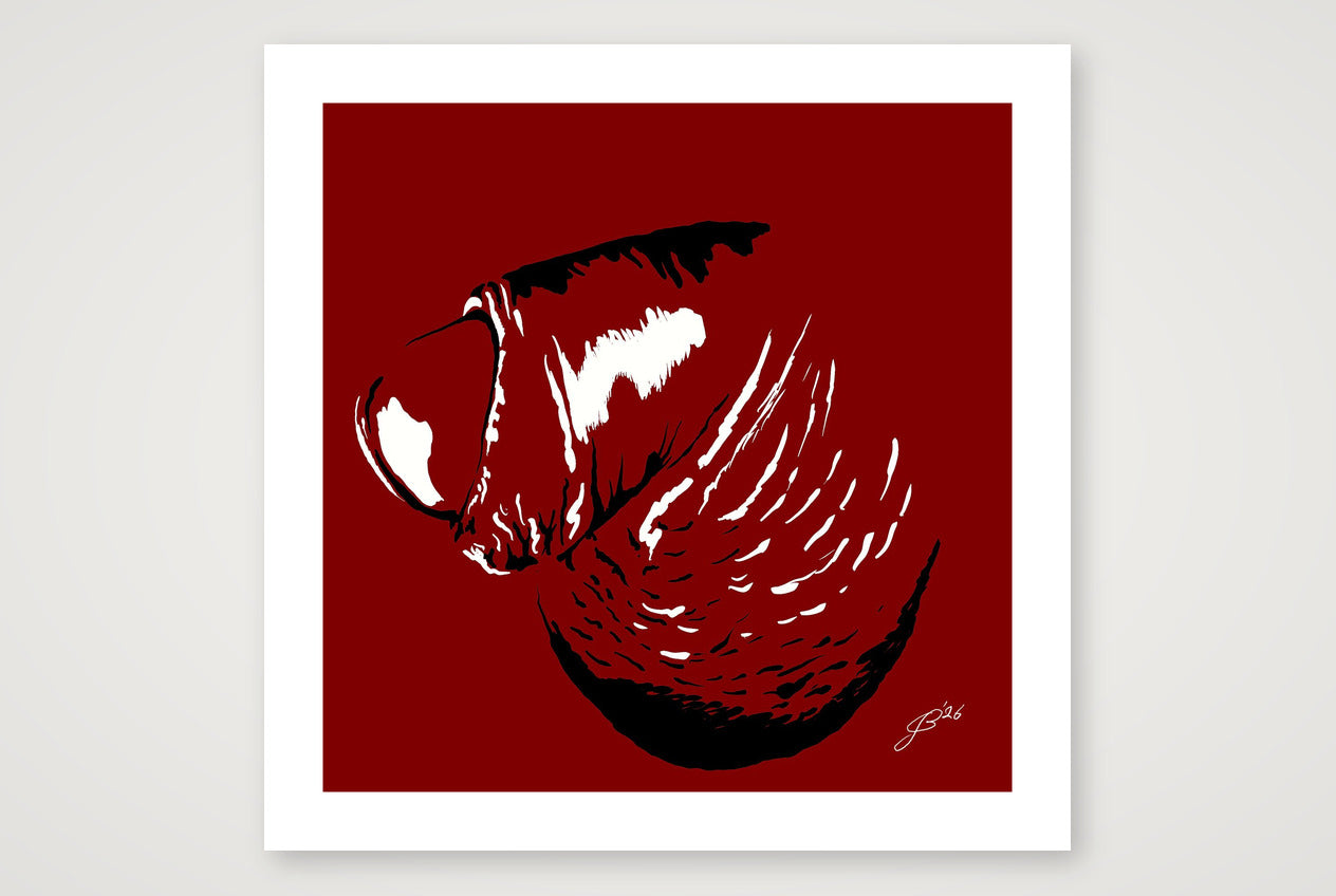 Pierre’s Dick Pic — 70×70cm, 28×28" Print only