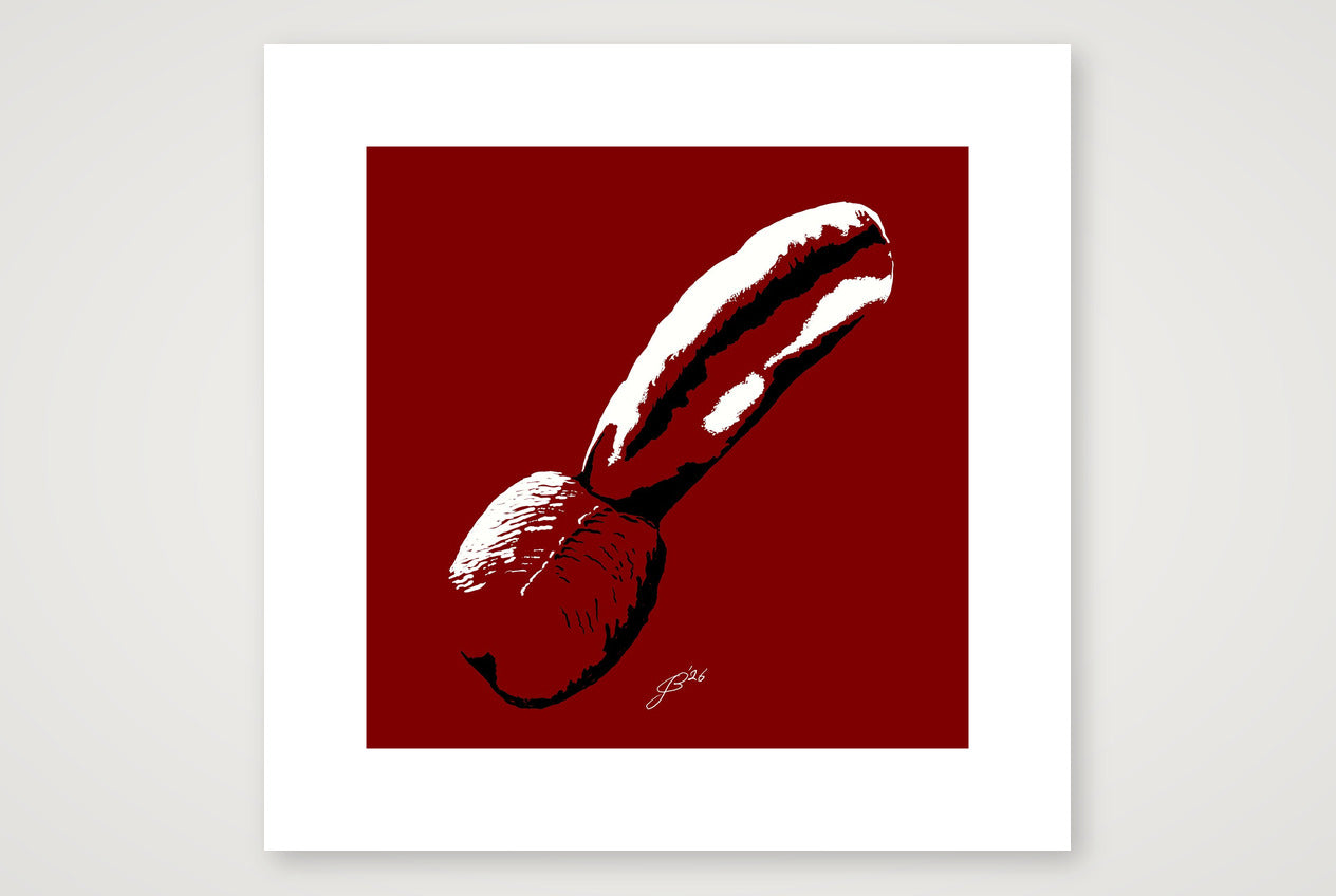 Derek’s Dick Pic — 30×30cm, 12×12" Print only