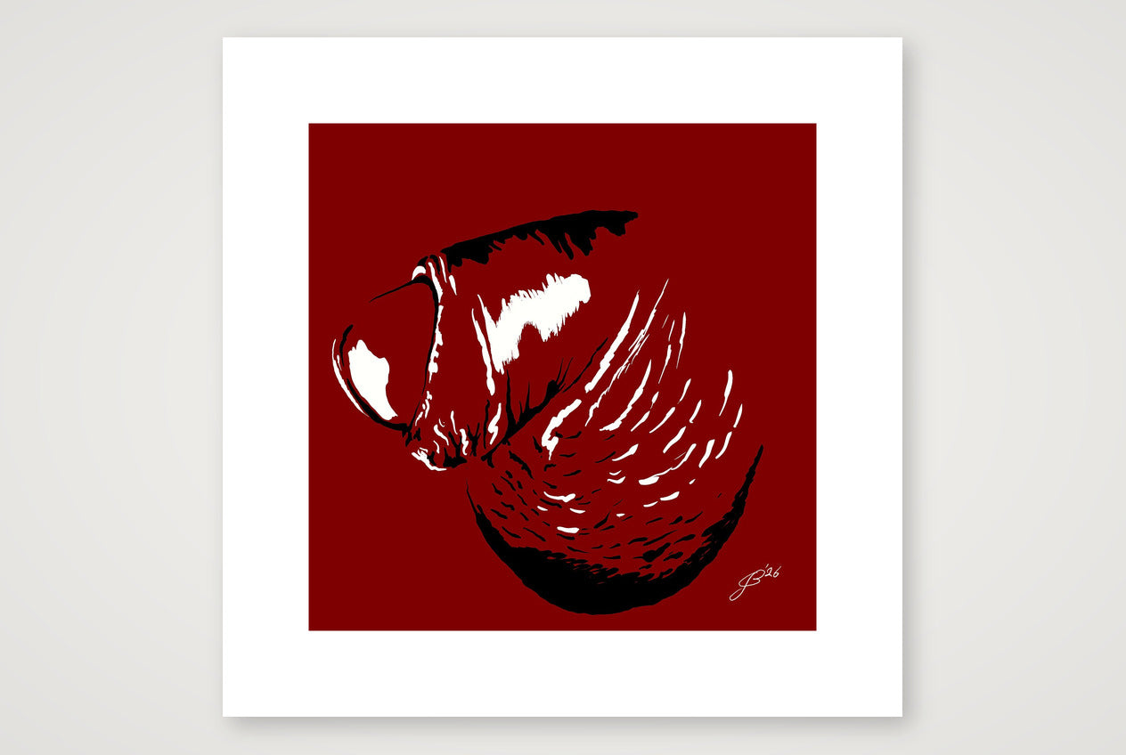 Pierre’s Dick Pic — 30×30cm, 12×12" Print only