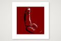 Otto’s Dick Pic — 30×30cm, 12×12" Print only