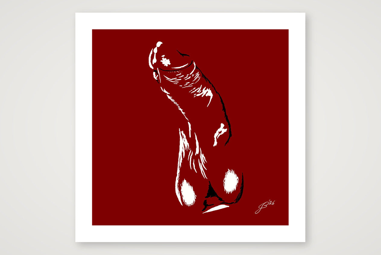 Gerhard’s Dick Pic — 70×70cm, 28×28" Print only