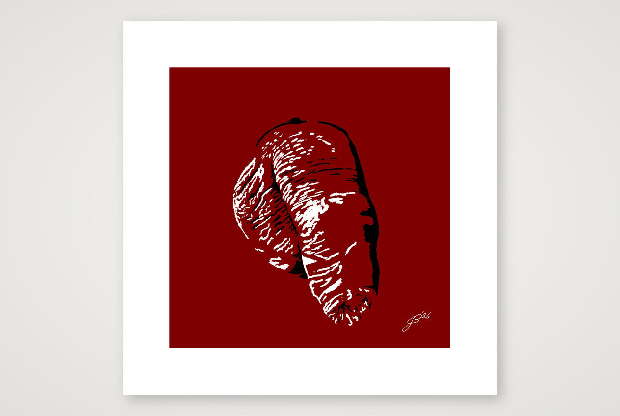 Filipo’s Dick Pic — 40×40cm, 16×16" Print only
